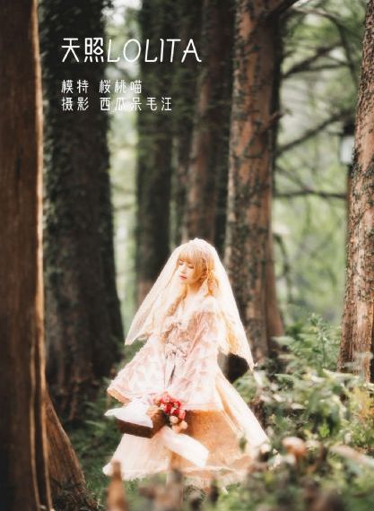 《喜爱夜蒲4》在线观看_国产剧免费全集观看